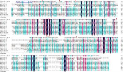 Characterization and Secretory Expression of a Thermostable Tannase from Aureobasidium melanogenum T9: Potential Candidate for Food and Agricultural Industries